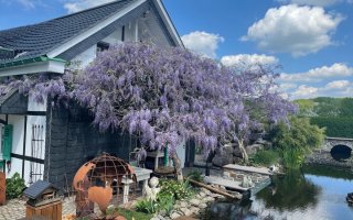 Remscheid Location and Set saalvermietung.de 13.jpg Remscheid Location and Set saalvermietung.de 13.jpg