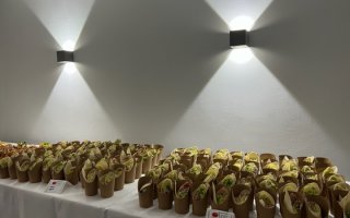 Hamm Bomm O´Loco saalvermietung.de Kleiner Saal 2.jpg Hamm Bomm O´Loco saalvermietung.de Kleiner Saal 2.jpg