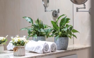 dreams Beckum saalvermietung.de 1.jpg dreams Beckum saalvermietung.de 1.jpg