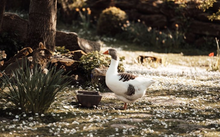 saalvermietung.de Torhaus 10.jpg