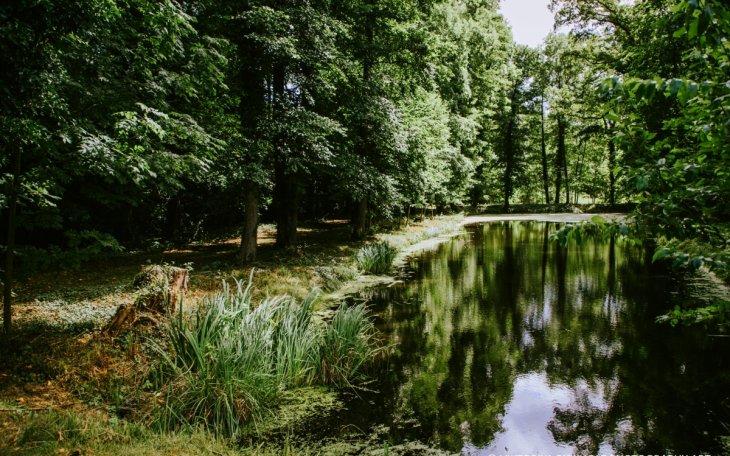 Bekemühle saalvermietung.de 10.jpg