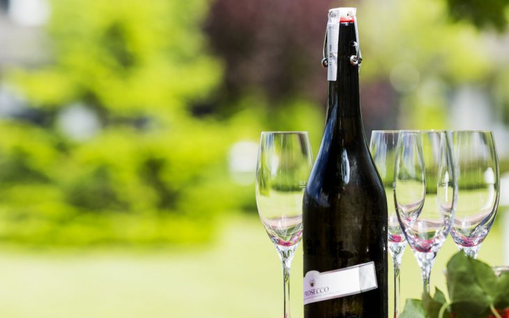 Garbsen Kressler Orangerie saalvermietung.de 3.jpg