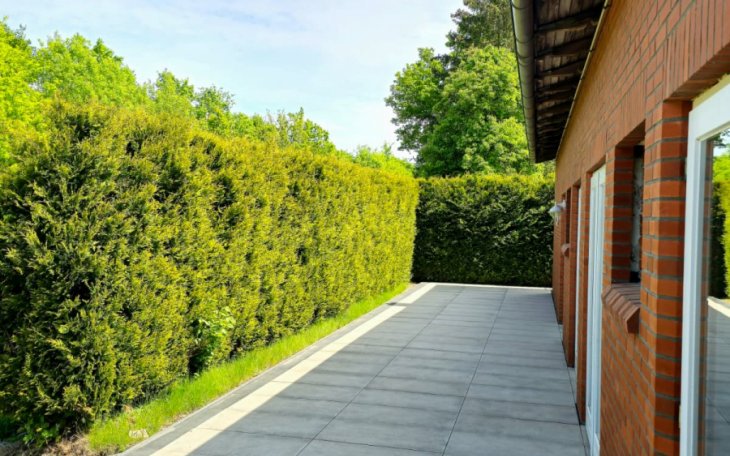 WhatsApp Bild 2025-11-14 um 17.35.12_ff47c938.jpg